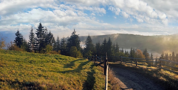 Alba nebbiosa in autunno montagna dei Carpazi Ucraina