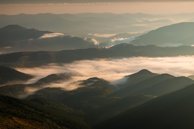 Alba nebbiosa in montagna Bellissimo paesaggio