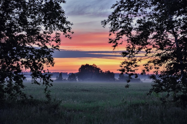 Alba nebbiosa mattina nebbia mattutina