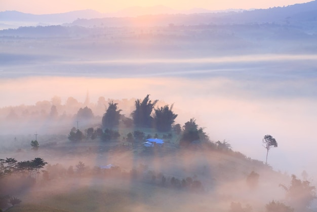 Alba nebbiosa mattutina a Khao Takhian Ngo View Point a Khaokho PhetchabunThailand