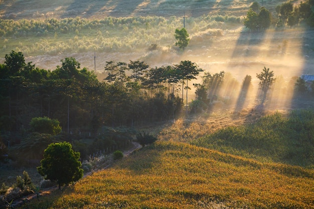 Alba nebbiosa mattutina a Khao Takhian Ngo View Point a Khaokho PhetchabunThailand