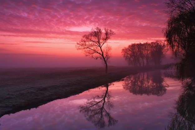 Alba nebbiosa sul fiume