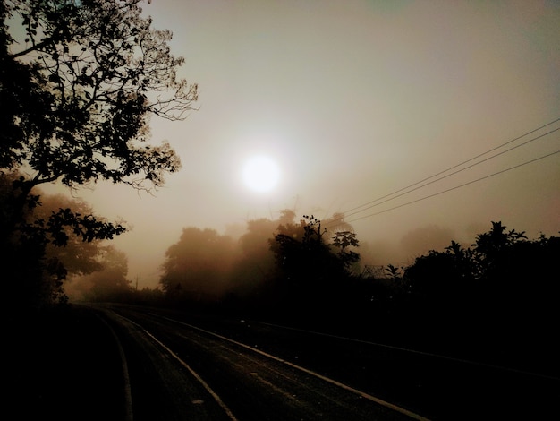 Alba nebbiosa sulla strada forestale in Gujarat India