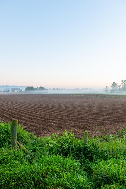 Alba nei campi agricoli del sud di Santa Catarina