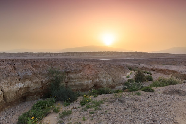 Alba nel deserto della Giudea