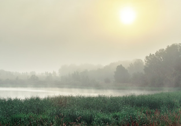 Alba nella nebbia sul lago