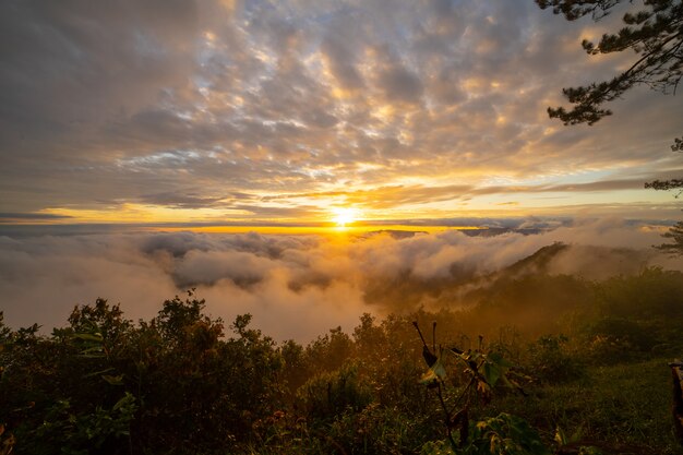 Alba nella nebbia.