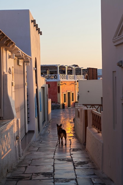 Alba per le strade di Santorini