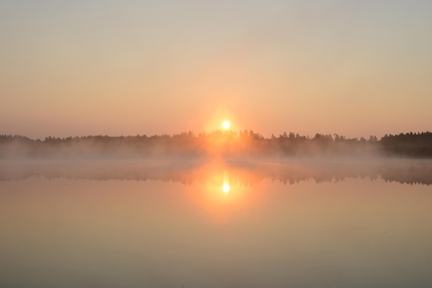 Alba su un lago di foresta Bella mattinata nebbiosa natura paesaggio Scena calma Alba foschia acqua calma