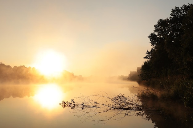 Alba su un lago in una nebbiosa giornata di primavera