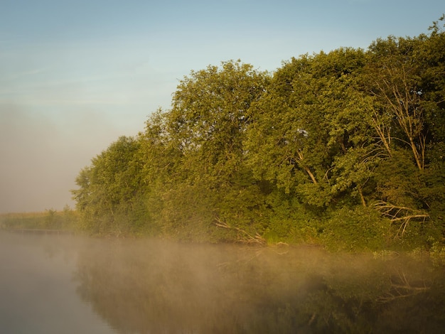 Alba su un lago nebbioso la mattina presto sul fiume Alba e nebbia sull'acqua e sugli alberi con riflessi sulla riva del fiume