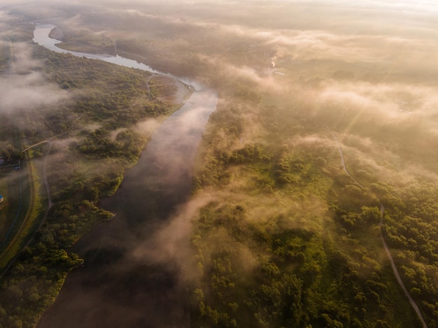 Alba sul fiume Luce solare e nebbia al fiume tortuoso mattutino nella vista aerea del drone della foresta