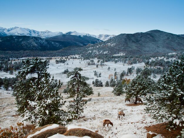 Alba sul Parco Nazionale delle Montagne Rocciose, Colorado.