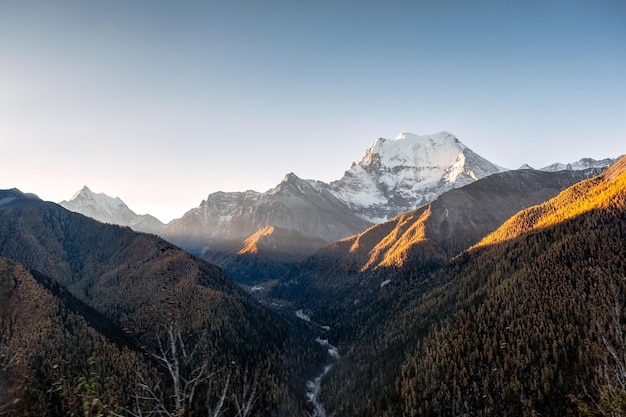 Alba sulla montagna di neve con pineta in autunno