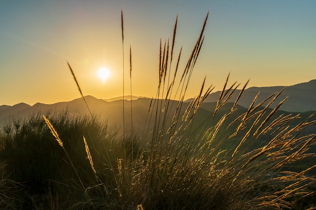 Alba sulla montagna dietro l'erba.