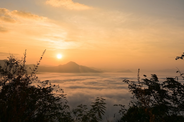 Alba sulla nebbia.