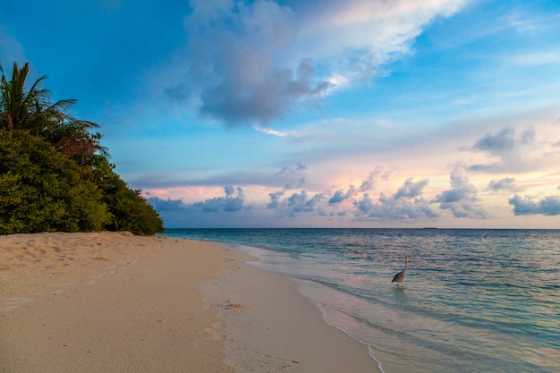 Alba sulla spiaggia su un'isola nell'oceano