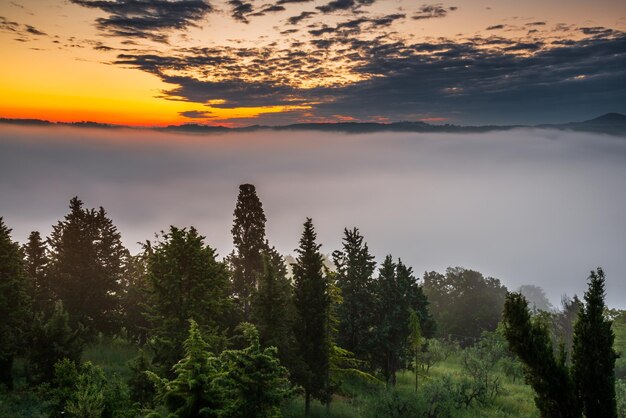 Alba sulla Val d'Orcia