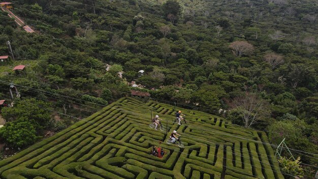 Albania El Salvador Canopy Una prospettiva dei droni