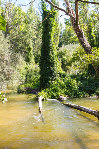 alberche riverbank a Toledo, Castilla La Mancha, in Spagna