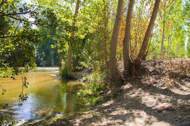 alberche riverbank a Toledo, Castilla La Mancha, in Spagna