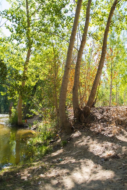 alberche riverbank a Toledo, Castilla La Mancha, in Spagna