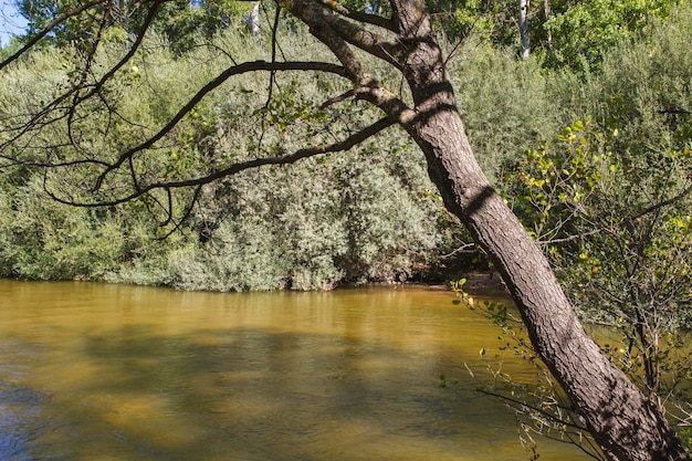 alberche riverbank a Toledo, Castilla La Mancha, in Spagna