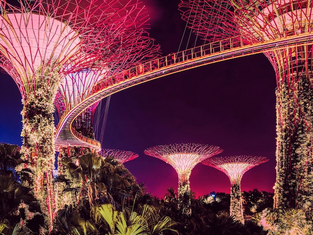 Alberi a Gardens by the Bay iatSingapore città di notte.