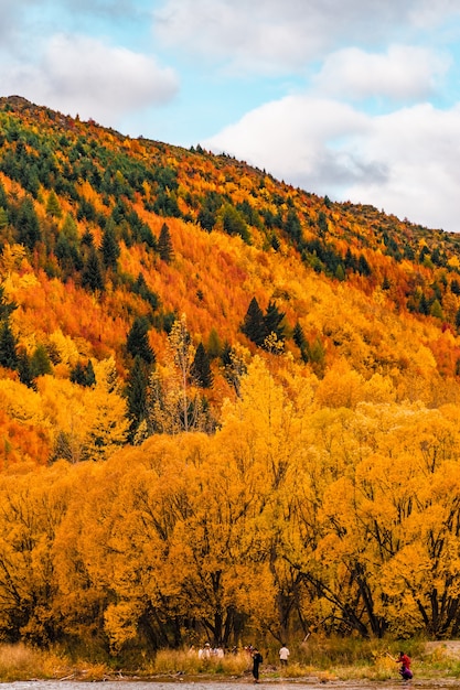 alberi autunnali a arrowtown, nuova zelanda