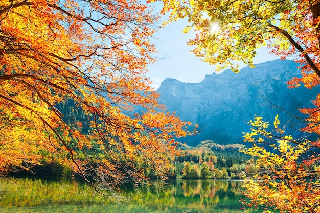 Alberi autunnali con foglie colorate sulla riva del lago nelle Alpi austriache.