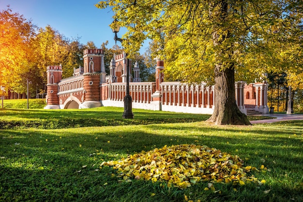 Alberi autunnali e ponte figurato nel parco Tsaritsyno a Mosca