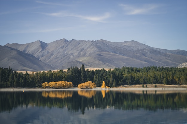 Alberi autunnali in Nuova Zelanda