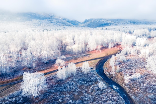 Alberi bianchi coperti di ghiaccio nella foresta invernale all'alba nebbiosa vista aerea Nuvole sopra le montagne e la foresta Paesaggio invernale