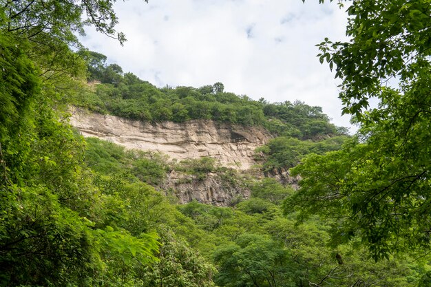 Alberi che incorniciano montagne huentitan canyon in guadalajara montagne e alberi vegetazione verde e cielo con nuvole messico
