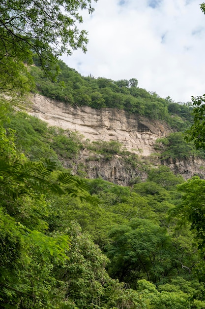 Alberi che incorniciano montagne huentitan canyon nelle montagne di guadalajara e alberi verdi vegetazione e cielo