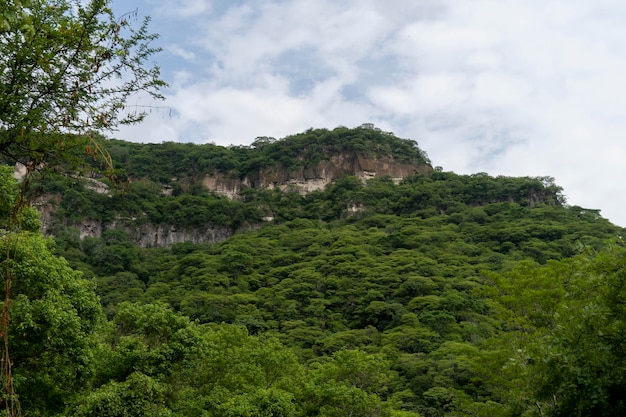 Alberi che incorniciano montagne huentitan canyon nelle montagne di guadalajara e alberi verdi vegetazione e cielo