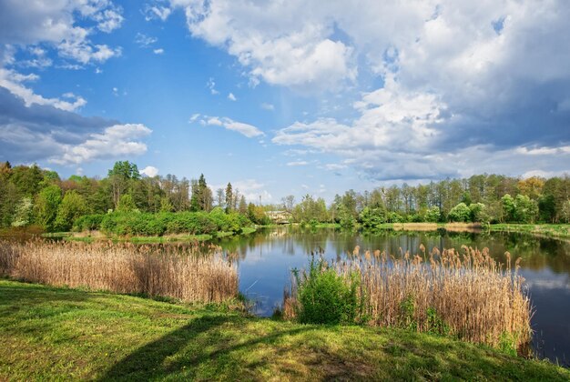 Alberi che si riflettono in uno stagno nel Parco Nazionale di Bialowieza come parte del Parco Nazionale Belovezhskaya Pushcha in Polonia.