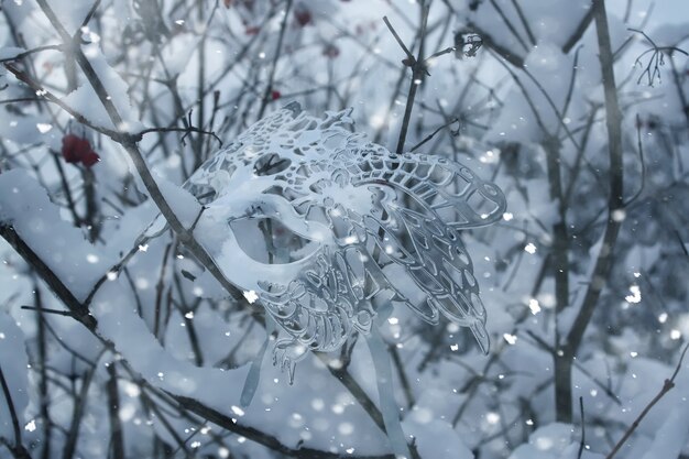 Alberi con la neve nel parco invernale