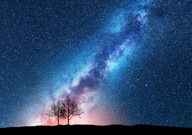 Alberi contro il cielo stellato con la Via Lattea