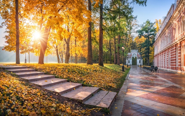 Alberi d'autunno e palazzo nel parco Tsaritsyno a Mosca