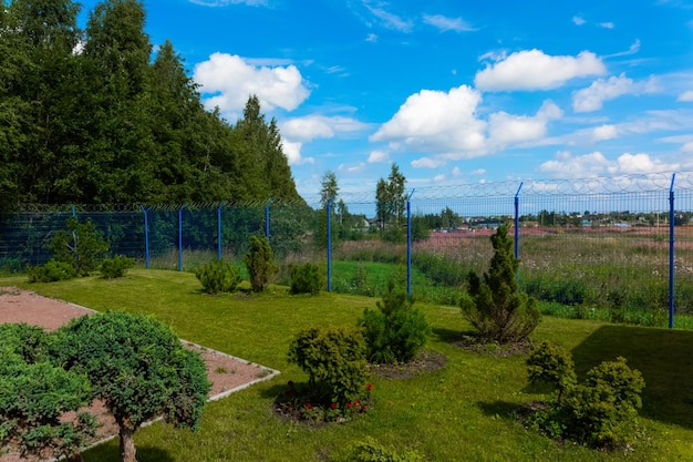 Alberi decorativi, fiori rossi e cielo blu con nuvole bianche