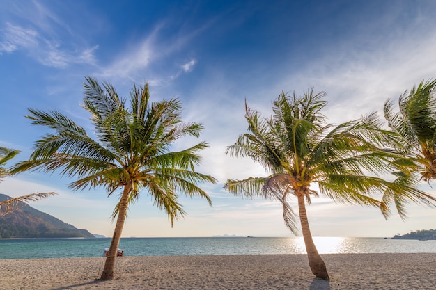 Alberi del cocco sulla spiaggia sabbiosa e sul cielo blu bianchi nel sud della Tailandia