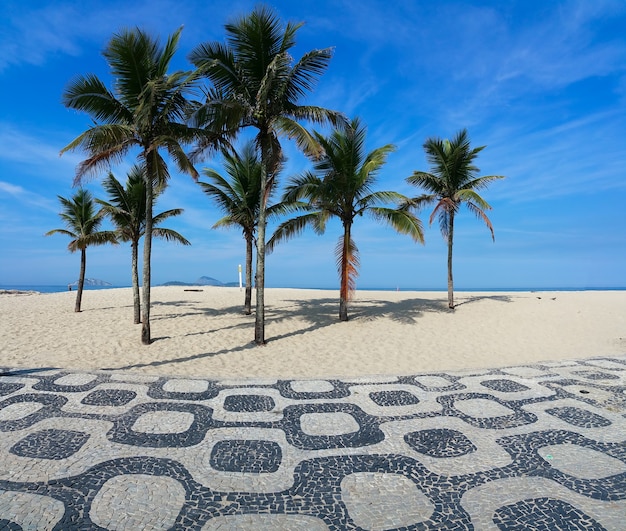 Alberi di cocco sulla spiaggia di Ipanema Rio de Janeiro in Brasile.