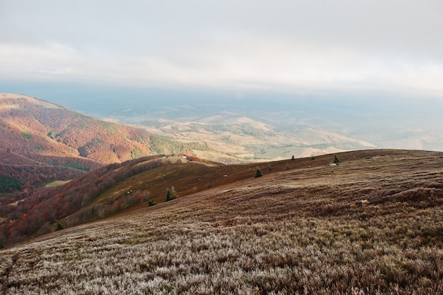 Alberi di gelo alle montagne carpatiche, Ucraina Europa