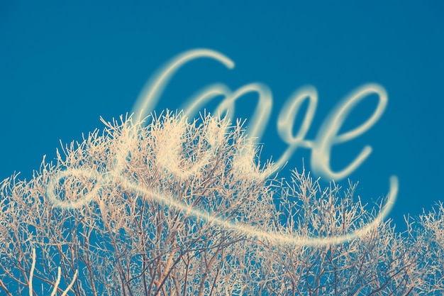 Alberi di mattina gelida d'inverno coperti di brina con la scritta Love