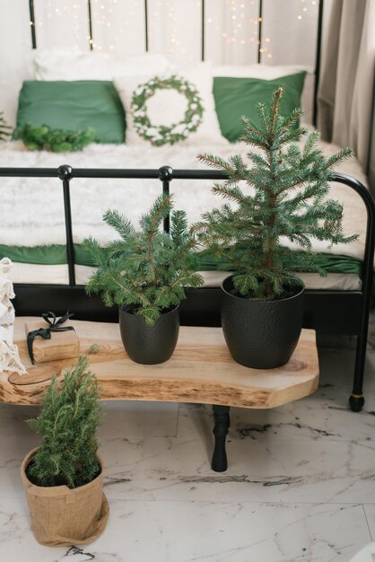 Alberi di Natale in vaso nell'arredamento interno della camera da letto di un'accogliente casa in stile scandinavo