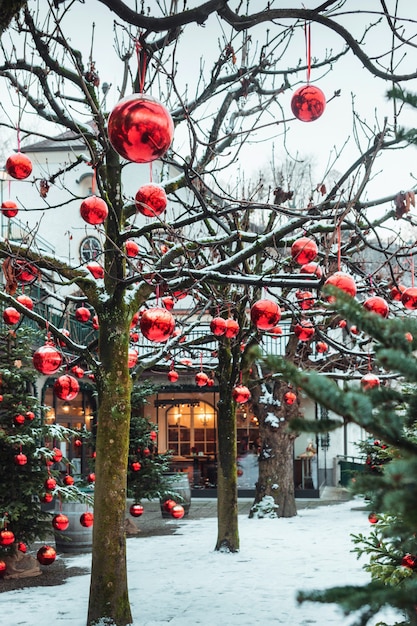 Alberi di Natale molto ben decorati in un numero enorme di grandi palline rosse luminose, Salisburgo, Austria.