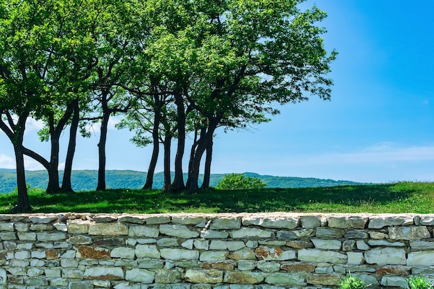 Alberi di paesaggio naturale contro il cielo dietro un recinto di pietra