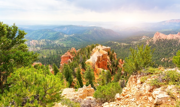 Alberi di pino sulle montagne rocciose a Bryce Canyon