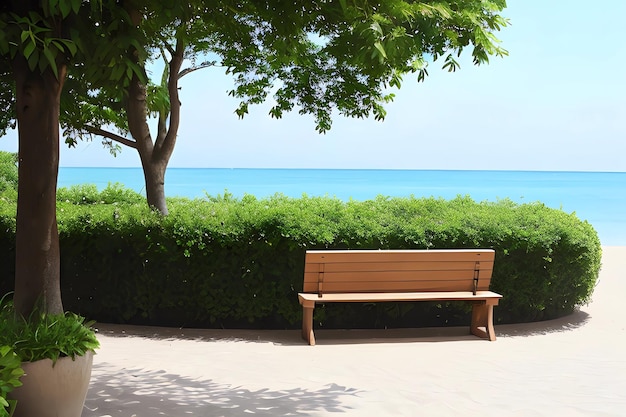 Alberi di spiaggia